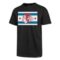Chicago Blackhawks NHL Jet Black Regional Men's Club Tee Shirt *SALE* Lot of 17