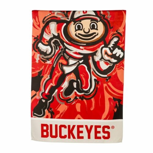 Ohio State Buckeyes Justin Patten NCAA 2-Sided Garden FLAG *NEW*